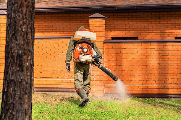 Trusted Emergency Pest Control service in Maggie Valley, NC - Nex Pest Control